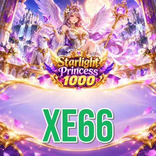 Step-by-Step Install Guide - xe66