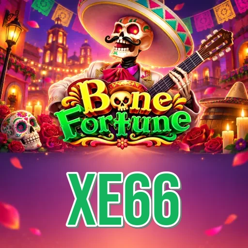 xe66 Specs