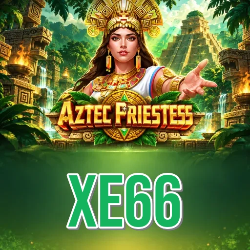 Version History xe66